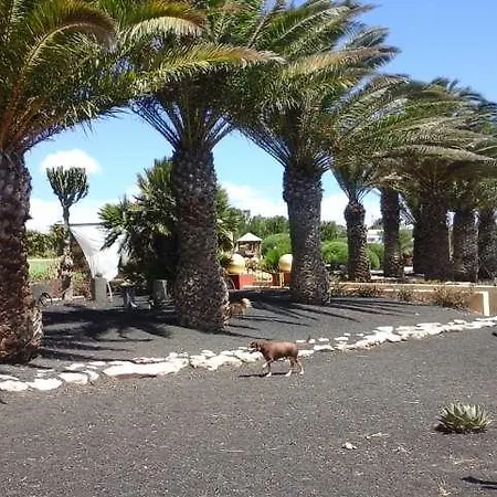 Plitina Teguise (Lanzarote)