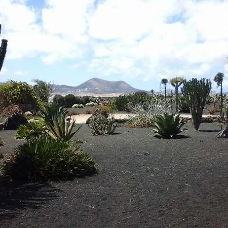 Plitina Teguise (Lanzarote)