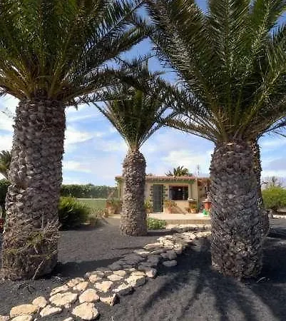 Plitina * Teguise (Lanzarote)
